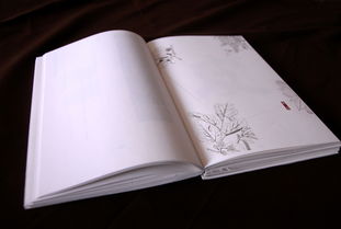 傳統(tǒng)手工紙?jiān)跁?shū)籍裝幀中的藝術(shù)魅力